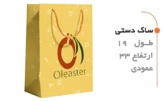 ساک دستی 19 در 33